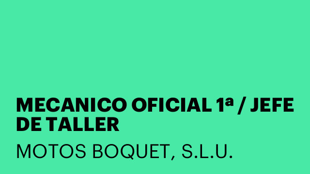 MECANICO OFICIAL 1ª / JEFE DE TALLER