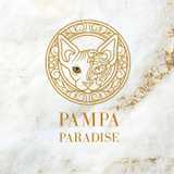 Pampa Cattery avatar icon