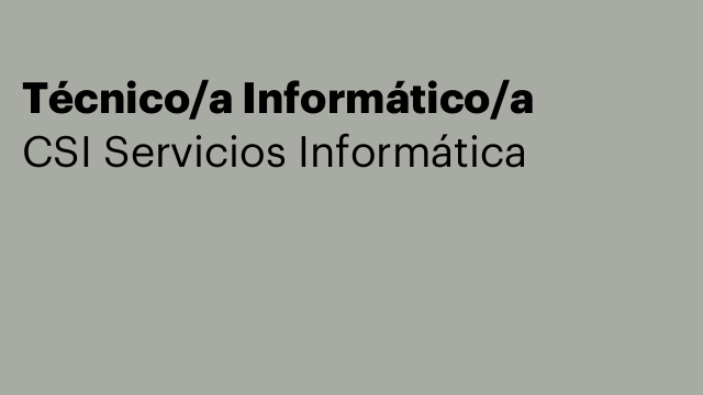Técnico/a Informático/a