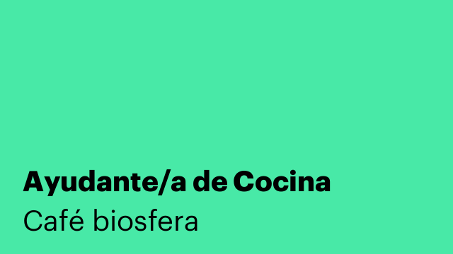 Ayudante/a de Cocina