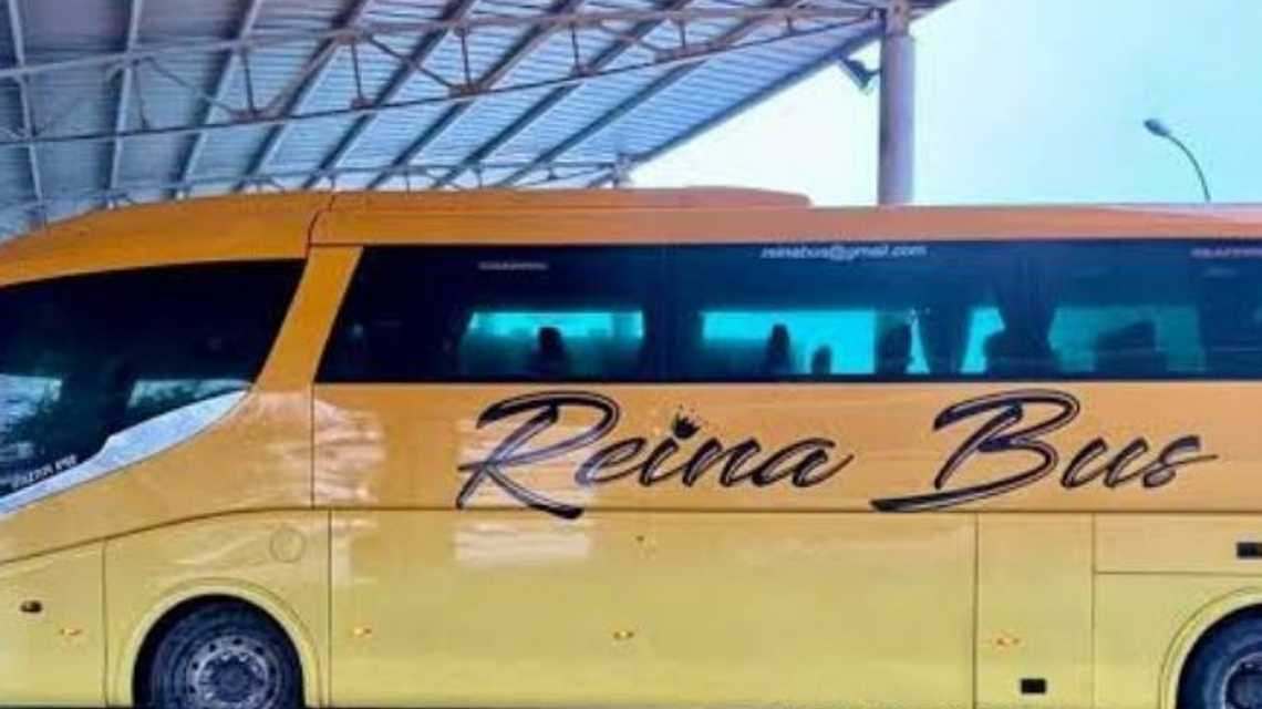 Autobuses Reina Bus cover image