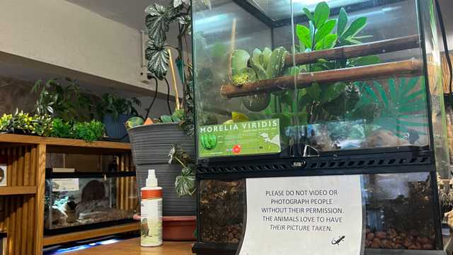 Personal Assistant (PA)