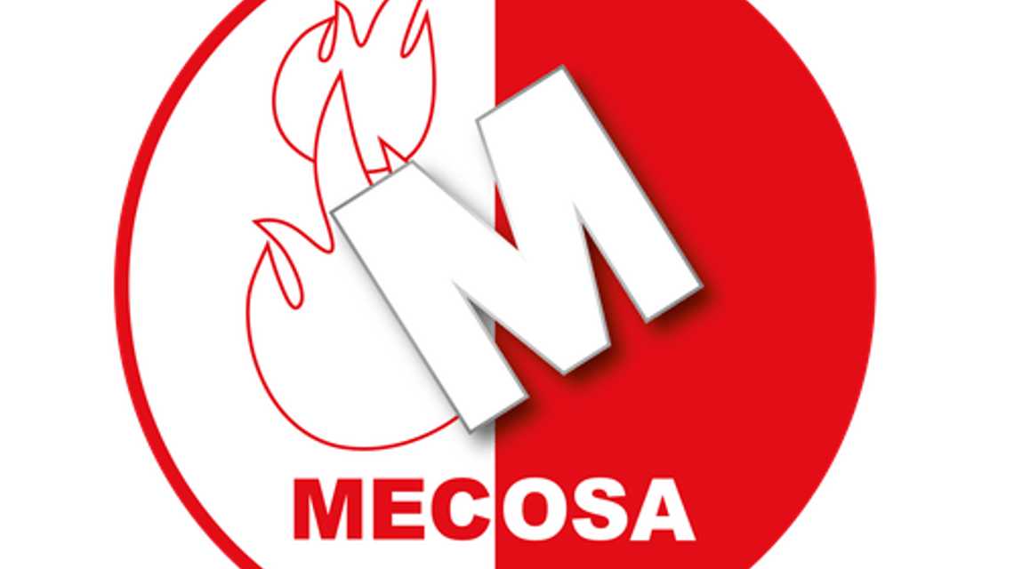Grupo Mecosa cover image