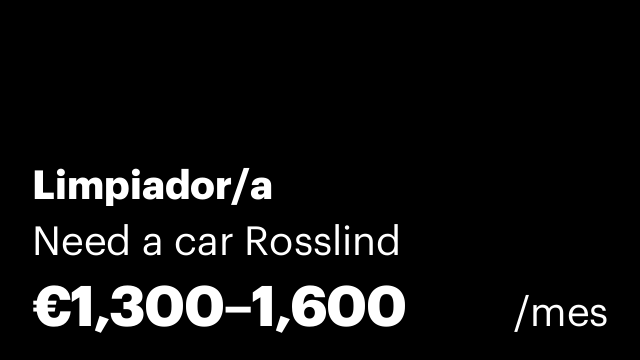 Limpiador/a