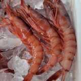 David S. avatar icon