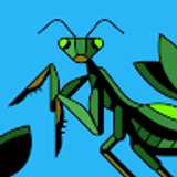 non P. avatar icon