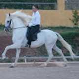 Alexander V. avatar icon