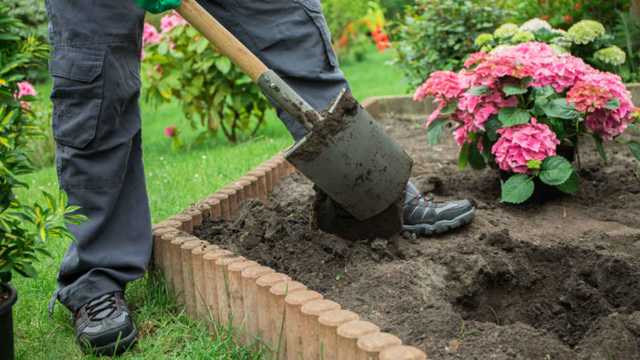 Jardinero a jornada completa