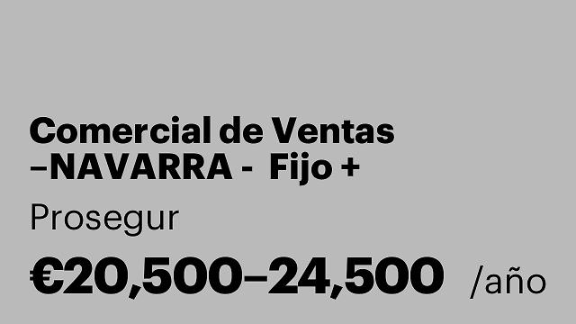 Comercial de Ventas –NAVARRA -  Fijo + Comisiones sin límite + Vehículo de empresa