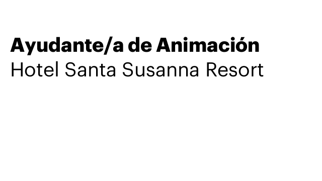 Ayudante/a de Animación