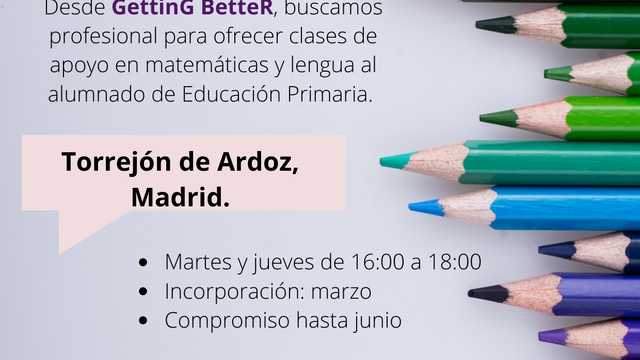 PROFESOR APOYO EDUCATIVO