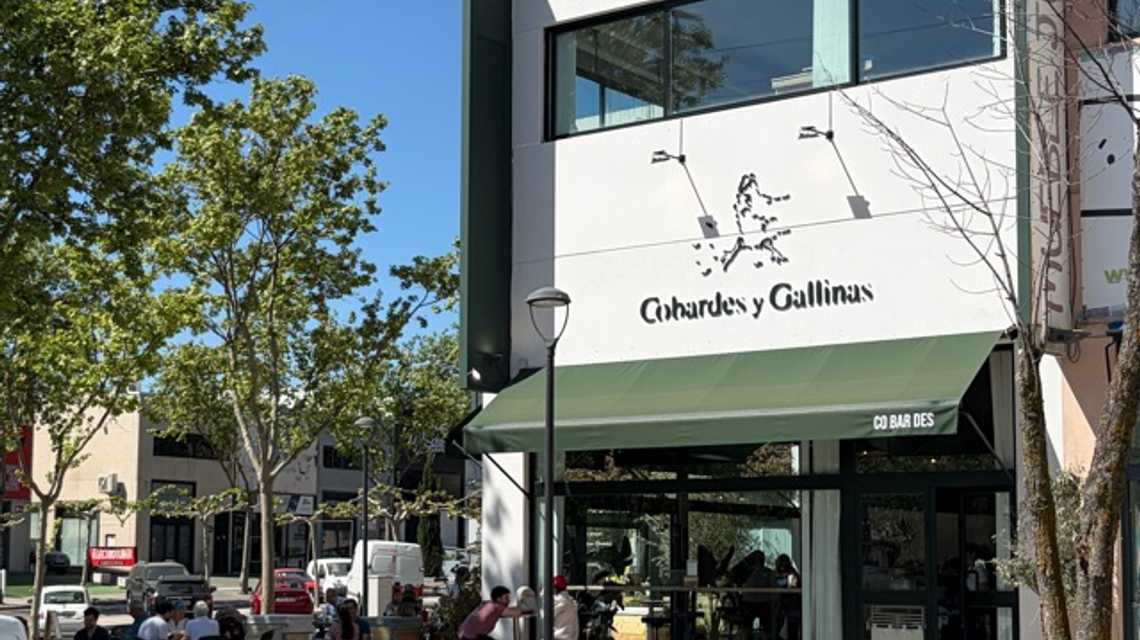 Cobardes y Gallinas cover image