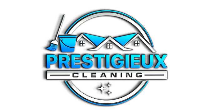 Cleaner