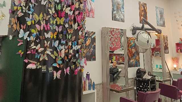 Oficial de peluquería y ayudante