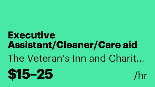 Executive Assistant/Cleaner/Care aid
