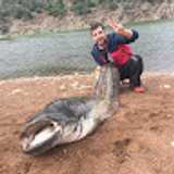 Héctor S. avatar icon