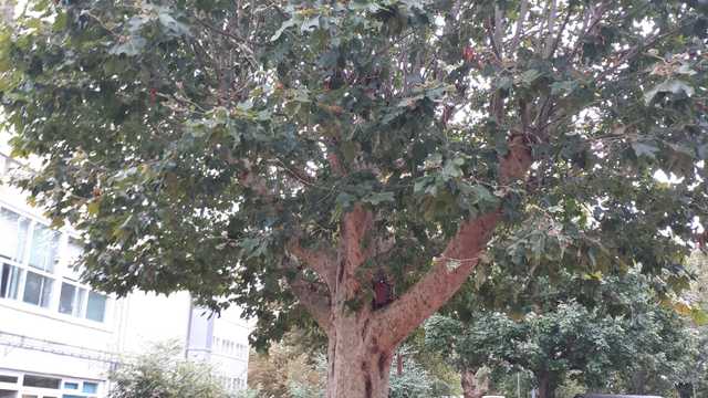 Childcare Practitioner