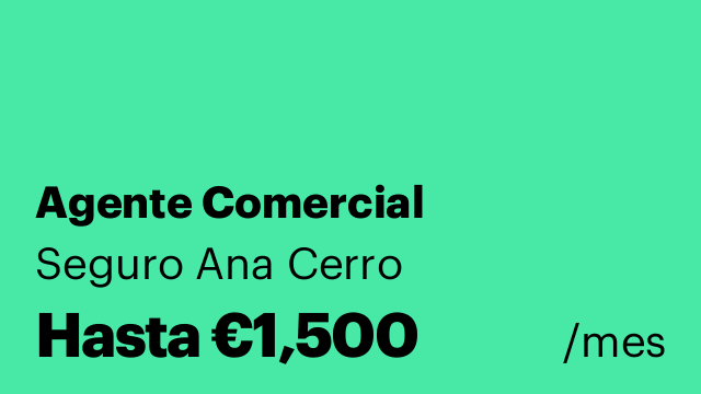 Agente Comercial