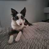 Esther C. avatar icon