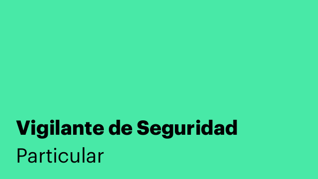 Vigilante de Seguridad