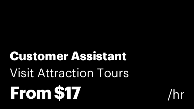 Customer Assistant