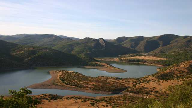 Ingeniero/a Técnico/a