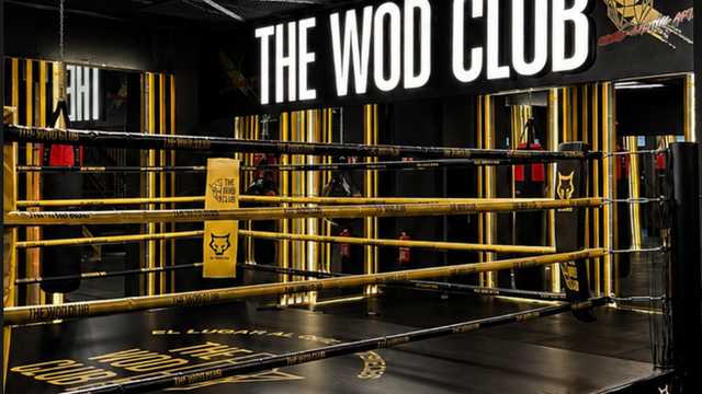ENTRENADOR MMA