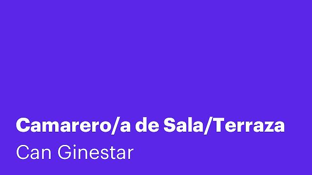 Camarero/a de Sala/Terraza