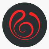 ROSA Holistic Gym logo