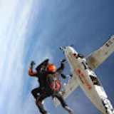 Diego P. avatar icon