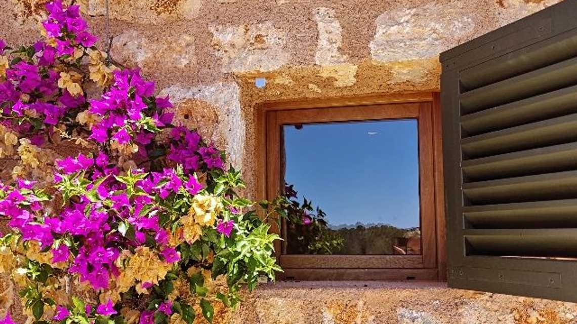 AE PROPERTY MANAGEMENT  cover image