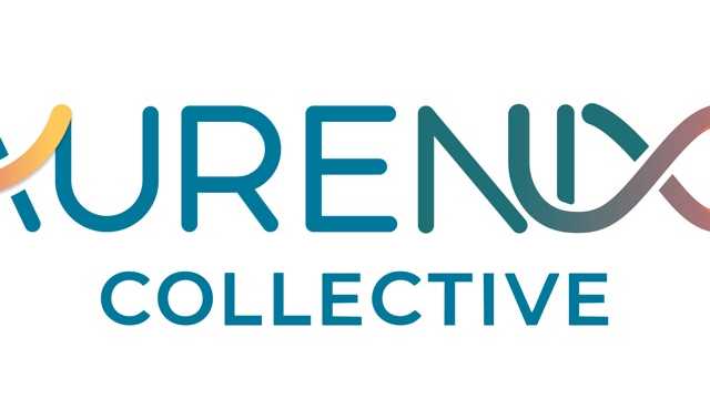 Sales Representative