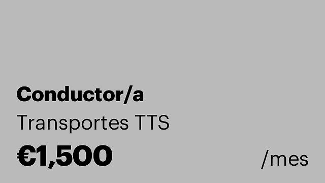 Conductor/a