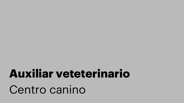 Auxiliar veteterinario