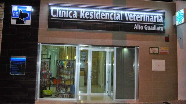 Veterinario/a
