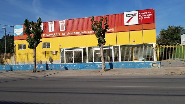Pintor/a