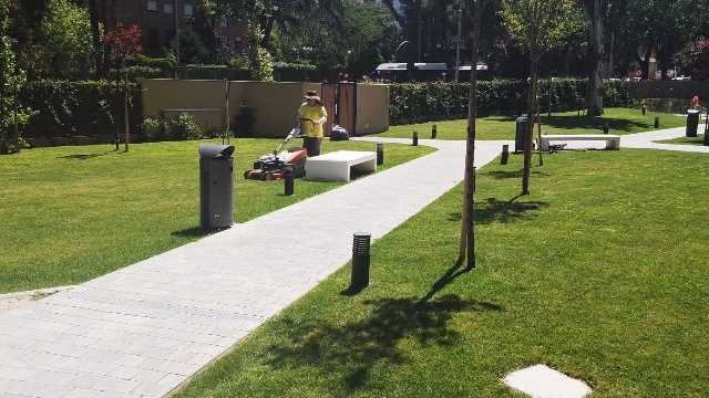 Auxiliar Jardinero