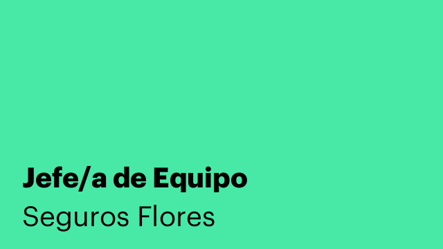 Jefe/a de Equipo