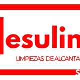 Resulima logo