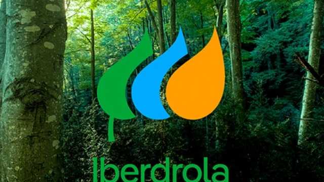 Cambios de Comercializadora