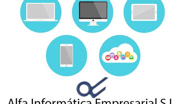 Programador/a