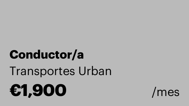Conductor/a