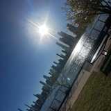 Adolfo B. avatar icon