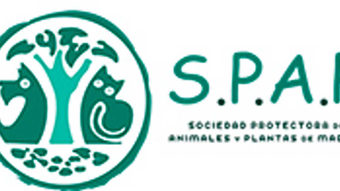 SOCIEDAD PROTECTORA MADRID cover image