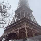 Grupo empresa D. avatar icon