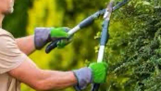 Jardinero/a