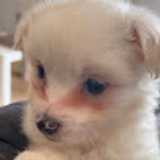 Virginia P. avatar icon