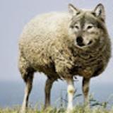 alberto M. avatar icon