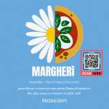 Giorgio B. avatar icon