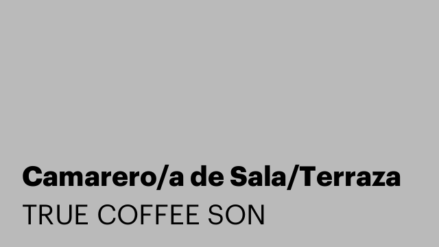 Camarero/a de Sala/Terraza